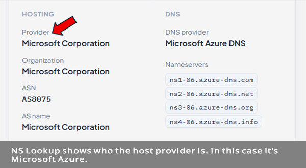 NS Lookup Shows who the host provider is