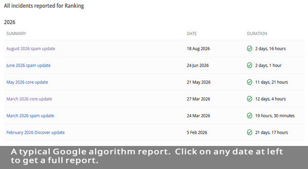 Typical Google algorithm report